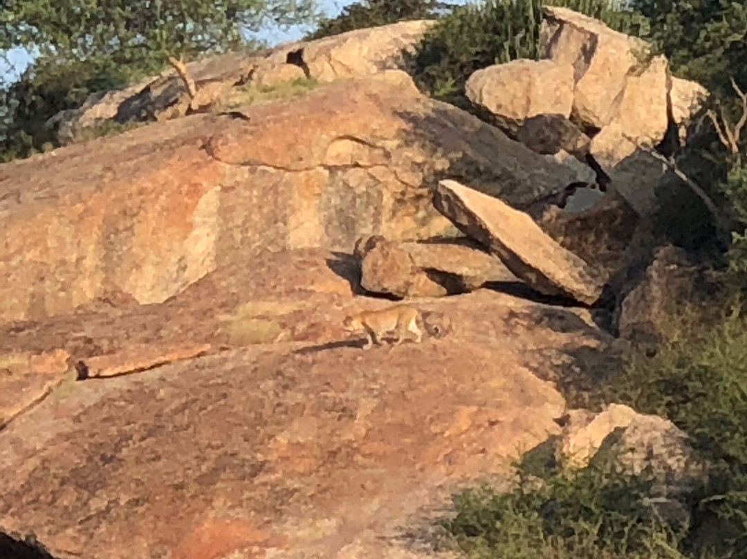 Leopard Hills-Bera必去景点