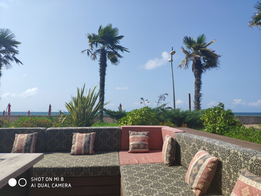 Luxury Dreamland Oasis Apartments