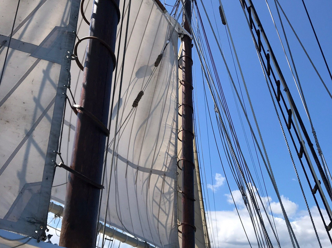 Tall Ship Manitou - Day Tours景点图片