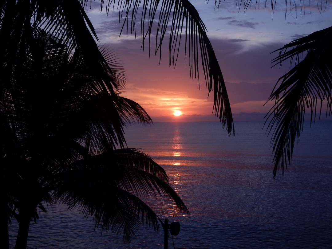 Del Sol Beachfront Properties主图