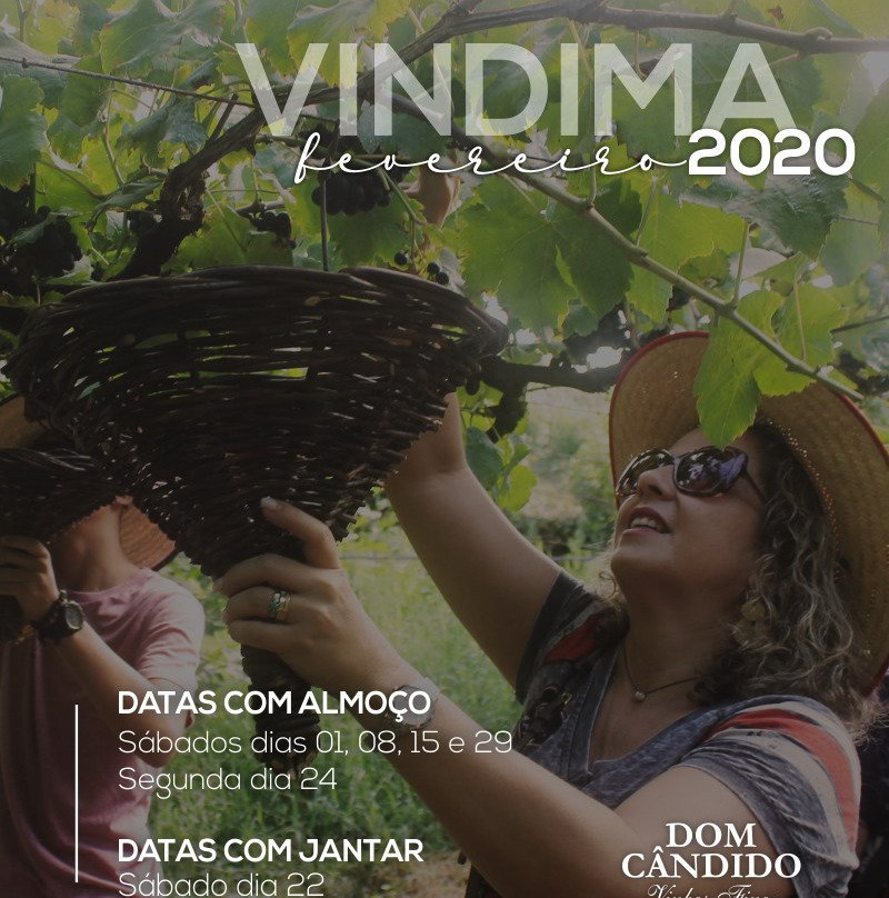 Vinicola Dom Cândido-本图贡萨尔维斯必去景点