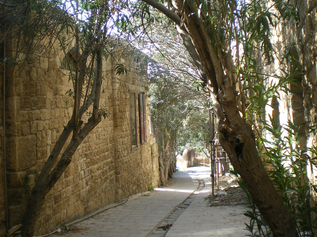 Byblos Public Park景点图片