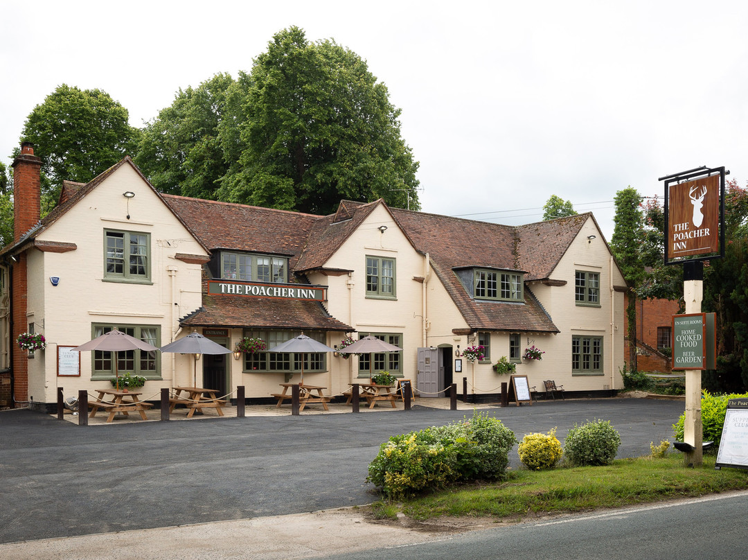 偷猎者旅馆主图