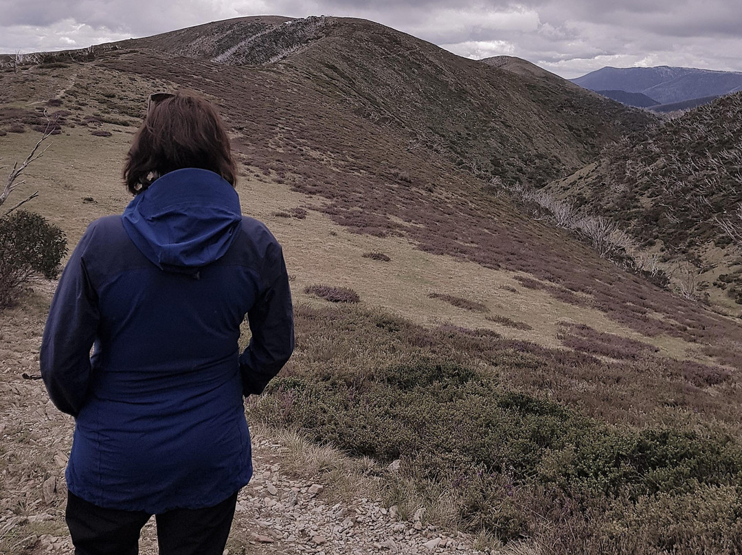 Holistic Soulscape-比奇沃思必去景点