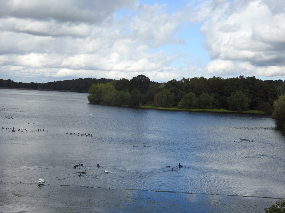 Swithland Reservoir景点图片