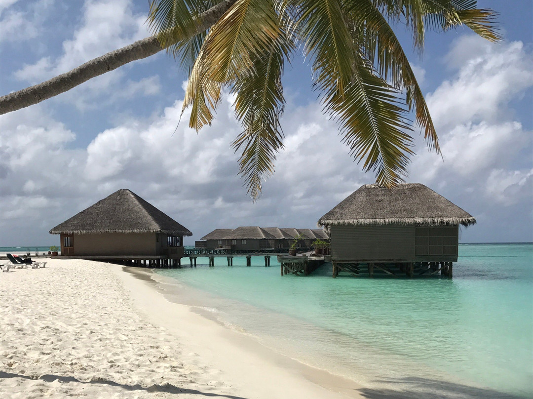 Meeru Island Resort & Spa - Day Tours景点图片