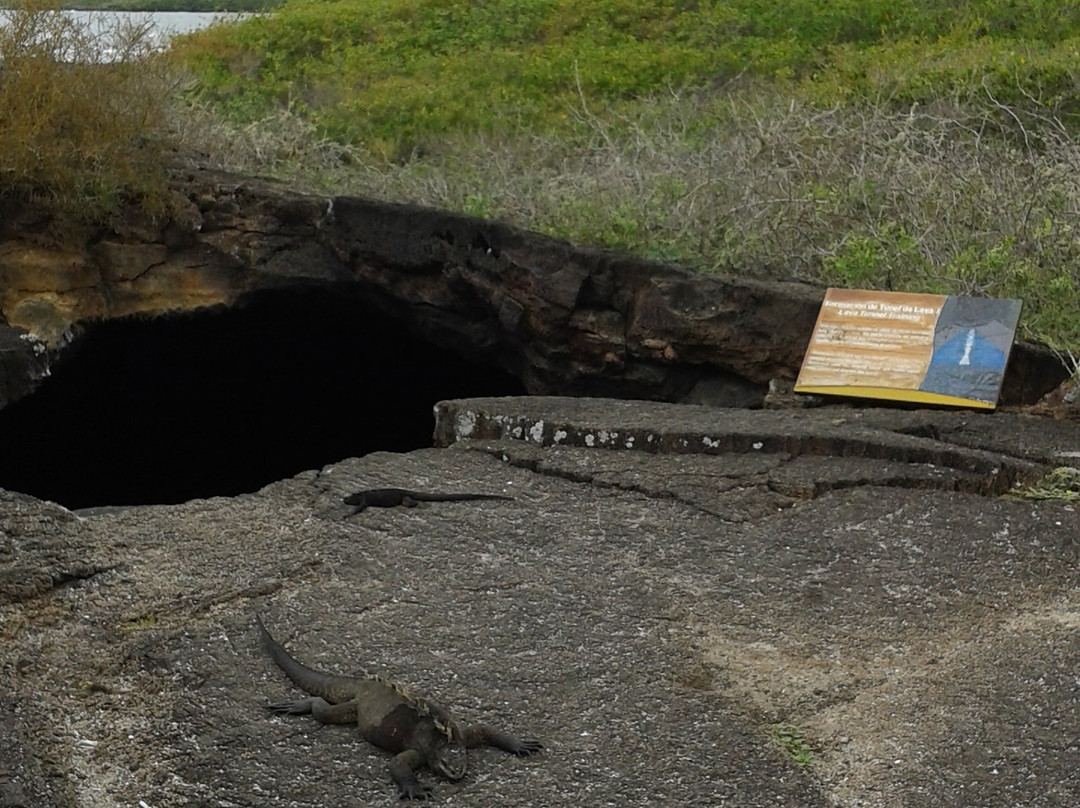 El Túnel del Estero-维里亚米尔港必去景点