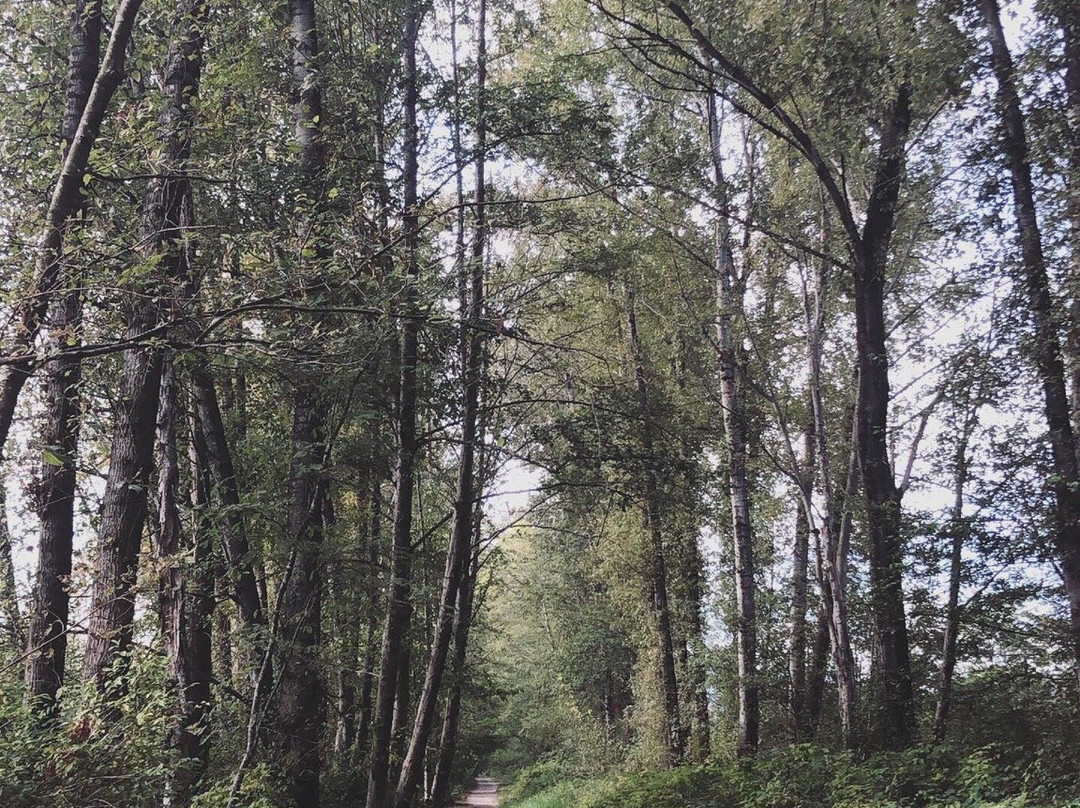 Burnaby Lake-本那比必去景点