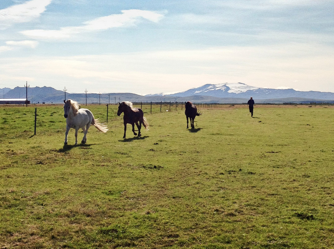 Hella Horse Rental-海拉必去景点