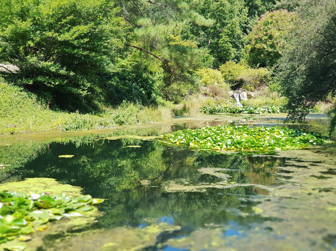 Sonoma Botanical Garden景点图片