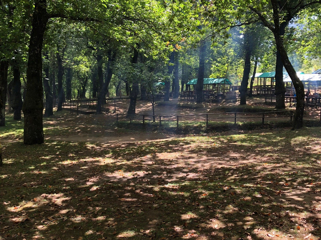 Area Pic-Nic Agriturismo Torchia-Serino必去景点