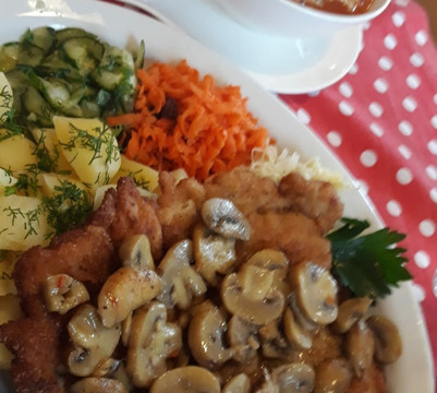 Plytnica旅游攻略图片