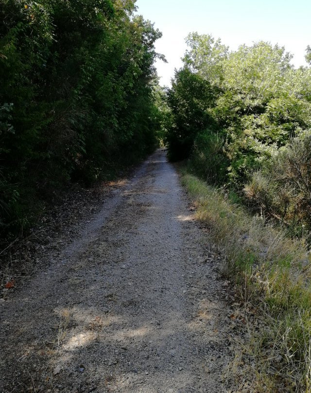 Area Faunistica del Cervo di Viggianello-Viggianello必去景点