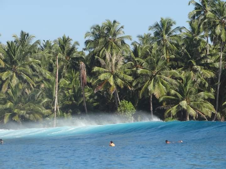 Pulau Masokut旅游攻略图片