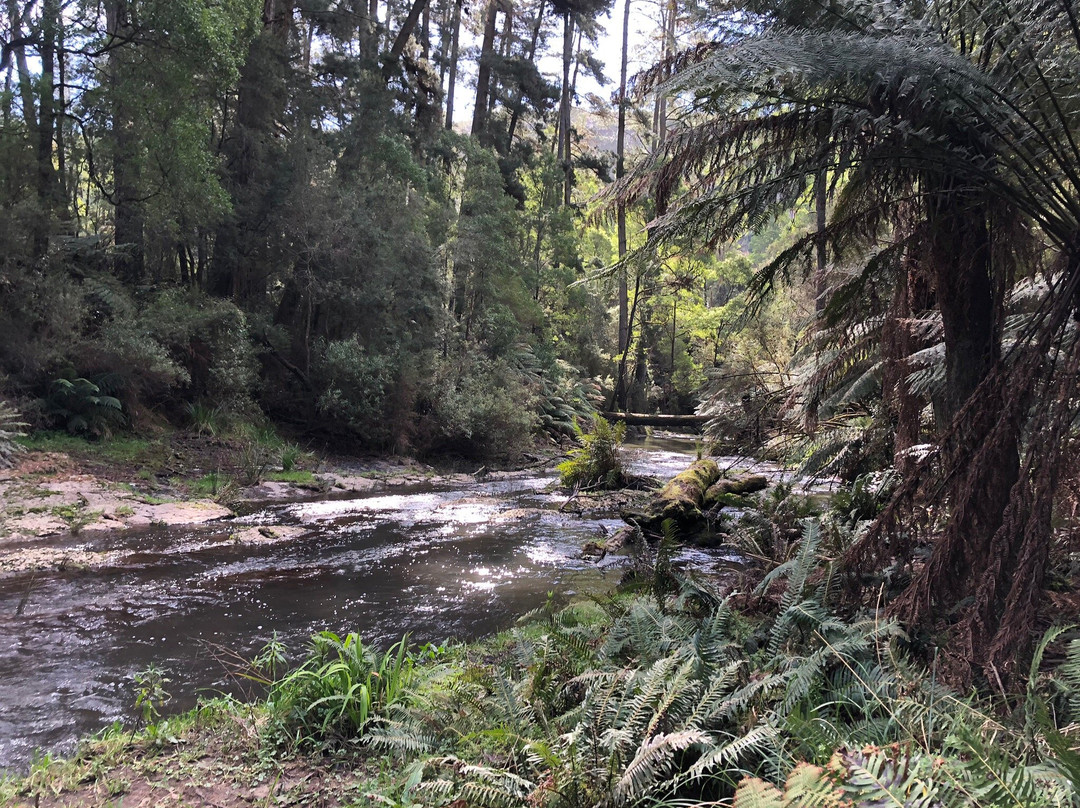 Morwell River Falls-Boolarra必去景点