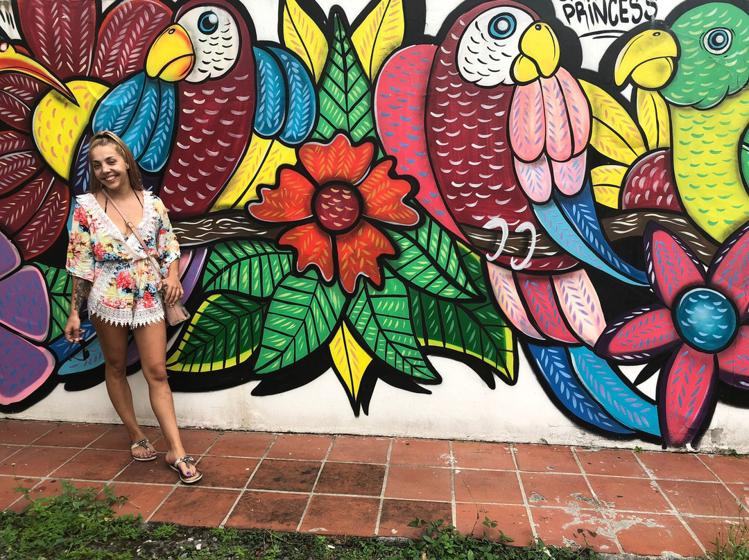 Hotel Carolina Princess主图