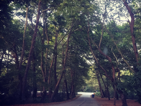 Mikani旅游攻略图片