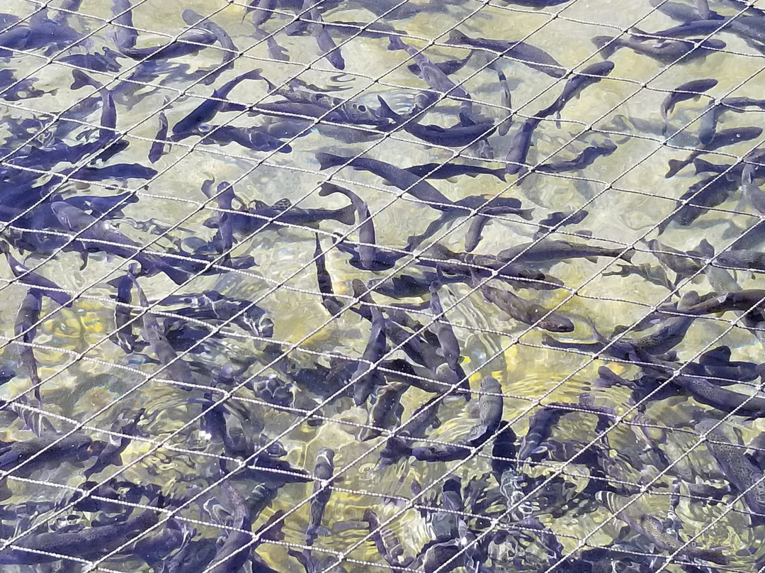 Durango Wildlife Museum and Fish Hatchery-杜兰戈必去景点
