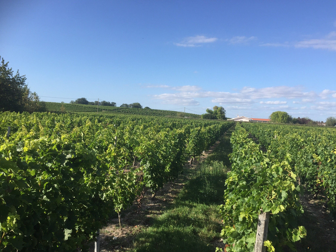 Civrac-en-Medoc旅游攻略图片