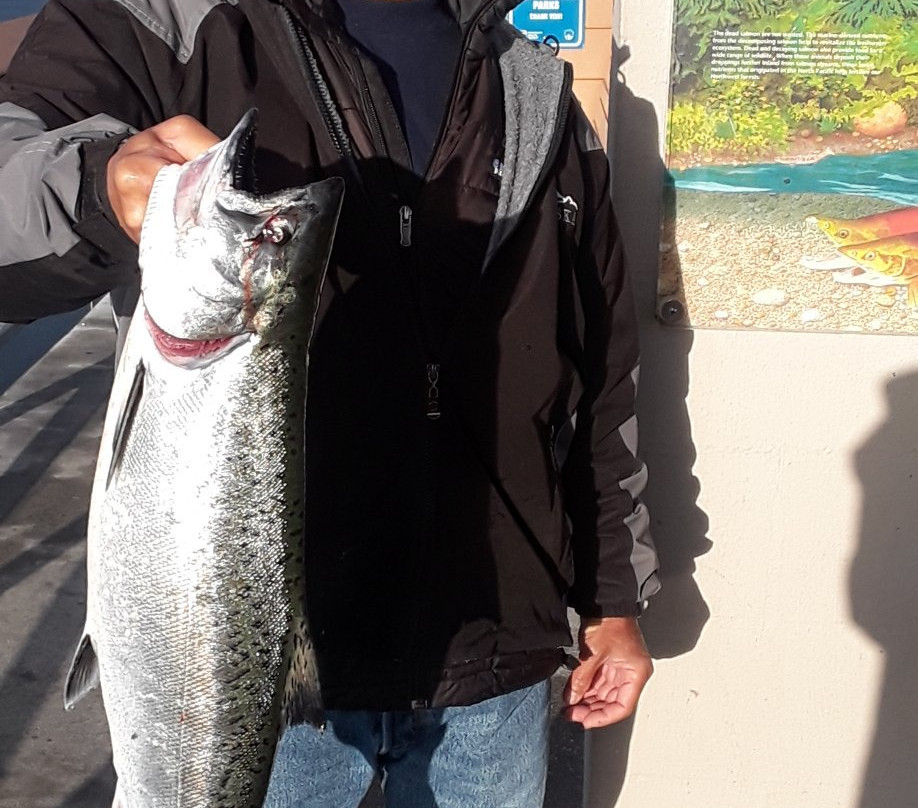 The Edmonds Fishing Pier-埃德蒙兹必去景点