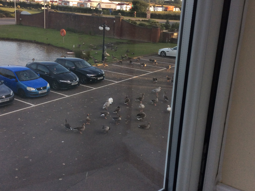 Southview Park Hotel主图