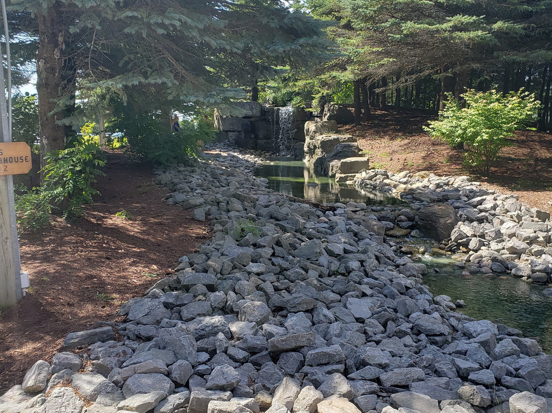 Timber Creek Golf景点图片