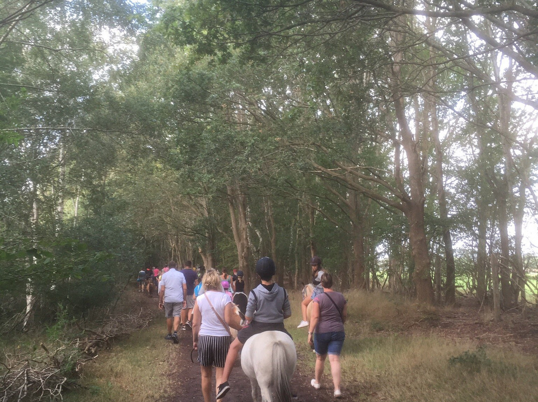 PonyparkCity景点图片
