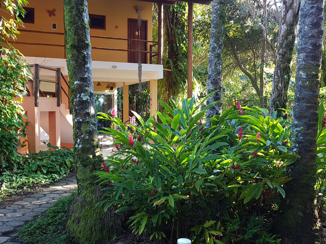 Espaço do Sagui主图