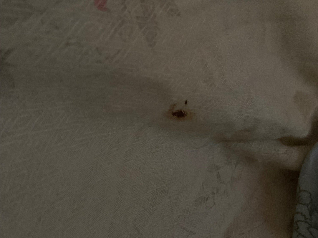 Maznah Guest House主图