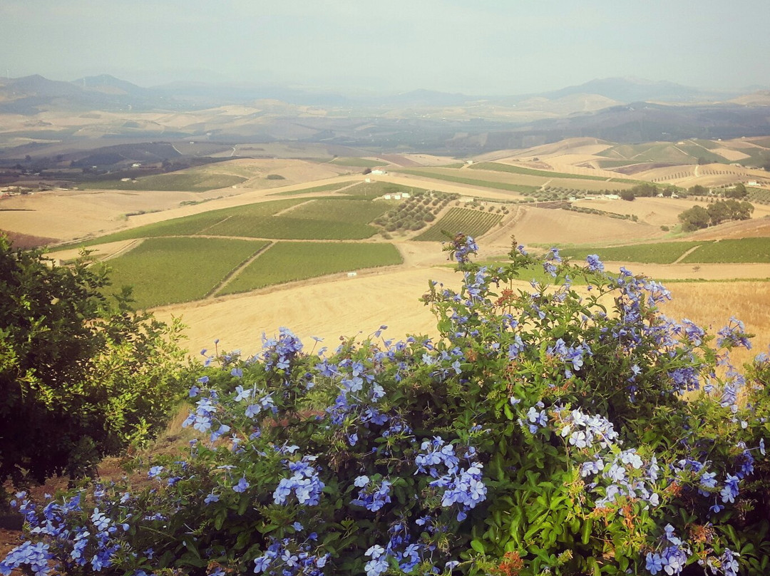 Antichi Granai主图