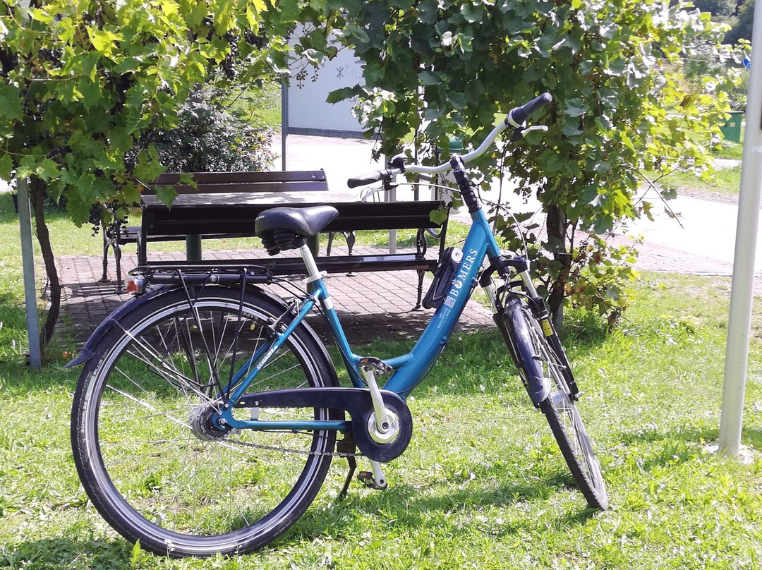 Ringhotel Bömers Mosellandhotel主图