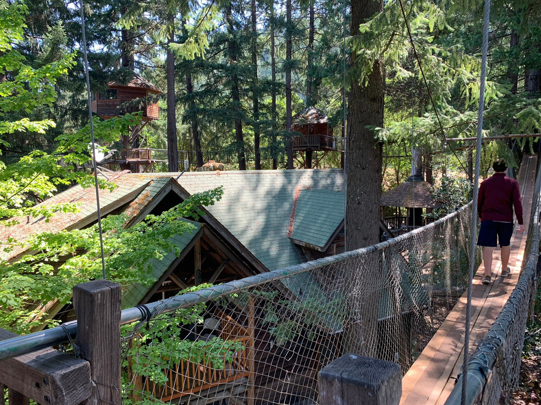 Out'n'About Treehouse景点图片
