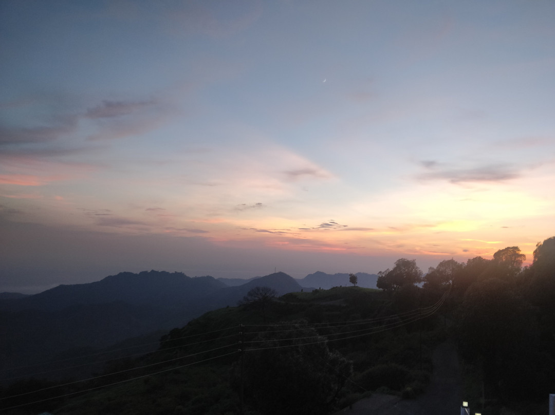 Charekh Food and Forest Resort主图