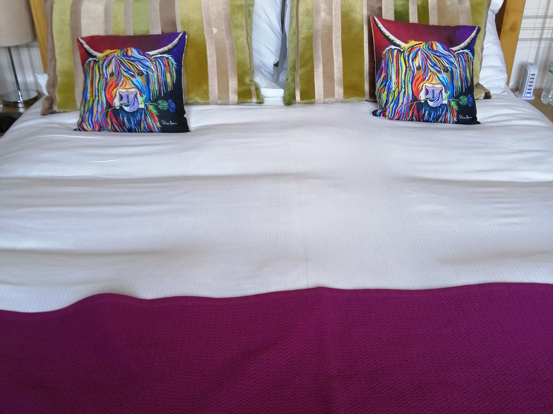 Ardmorn Holiday Accommodation主图