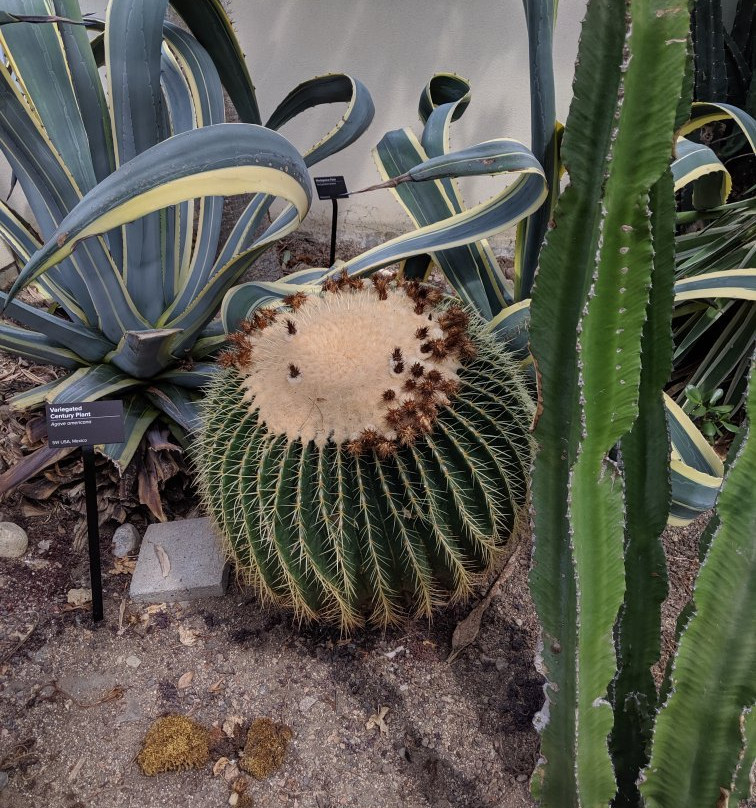 Roger Williams Park-普罗维登斯必去景点