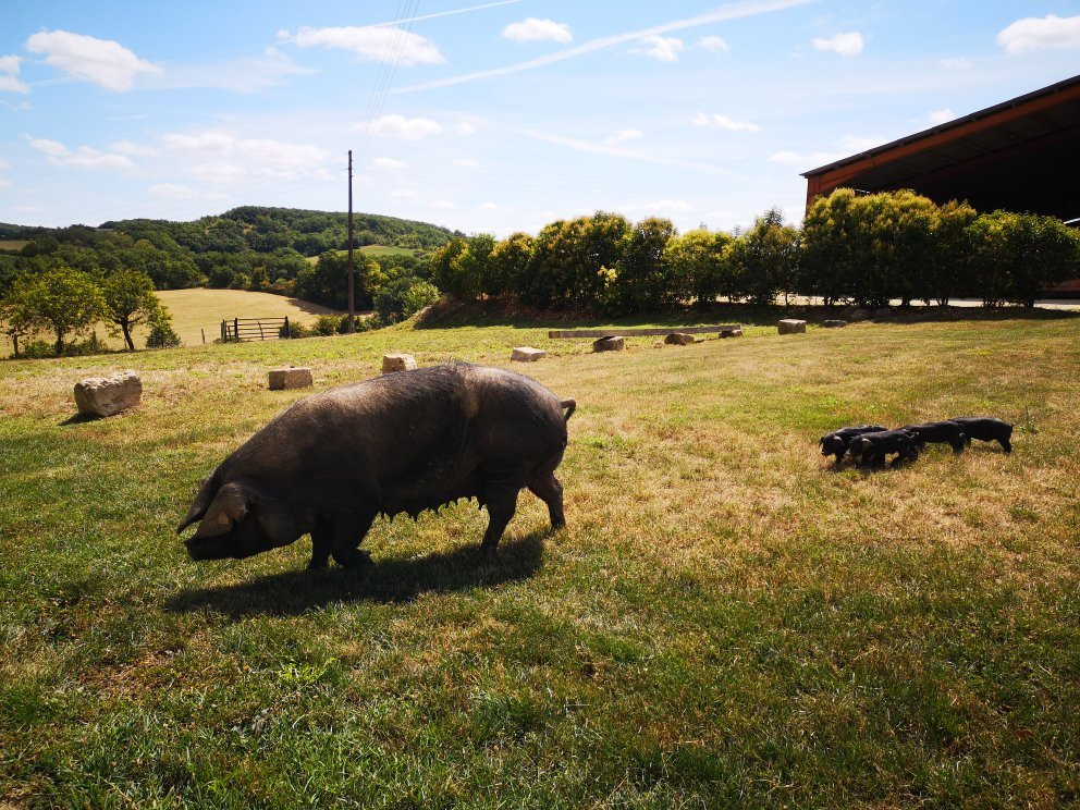 La Ferme de Bidache景点图片