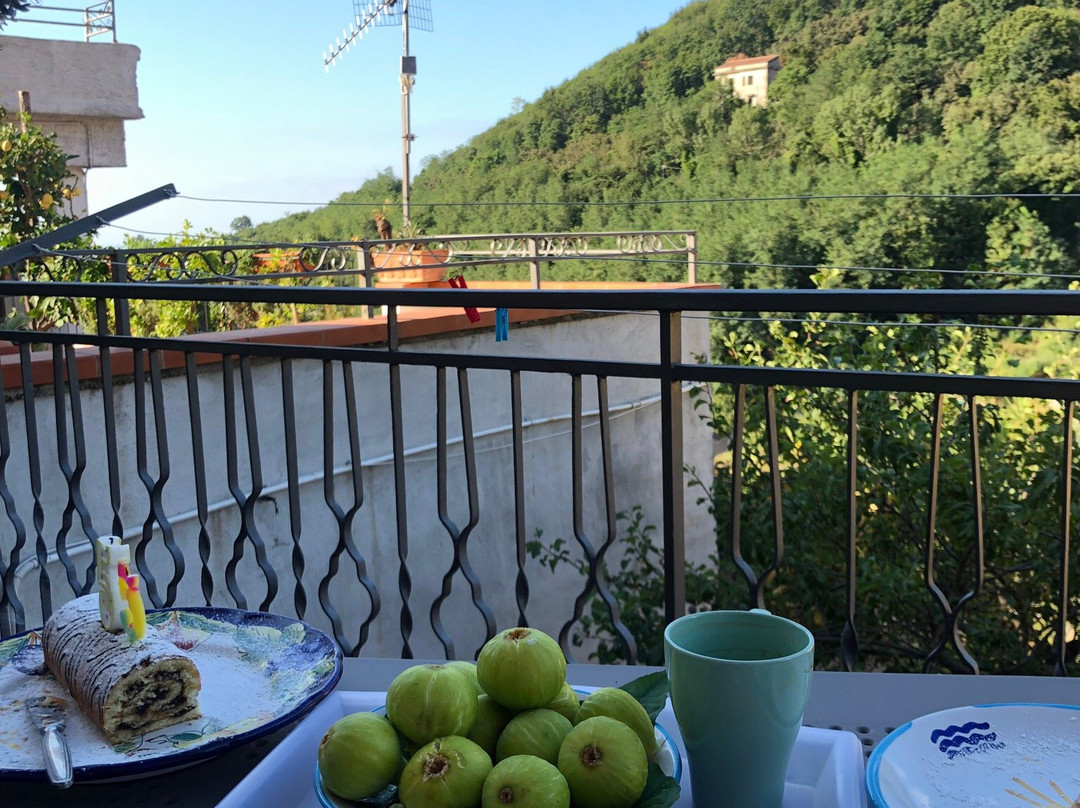 Il Covo delle Civette主图