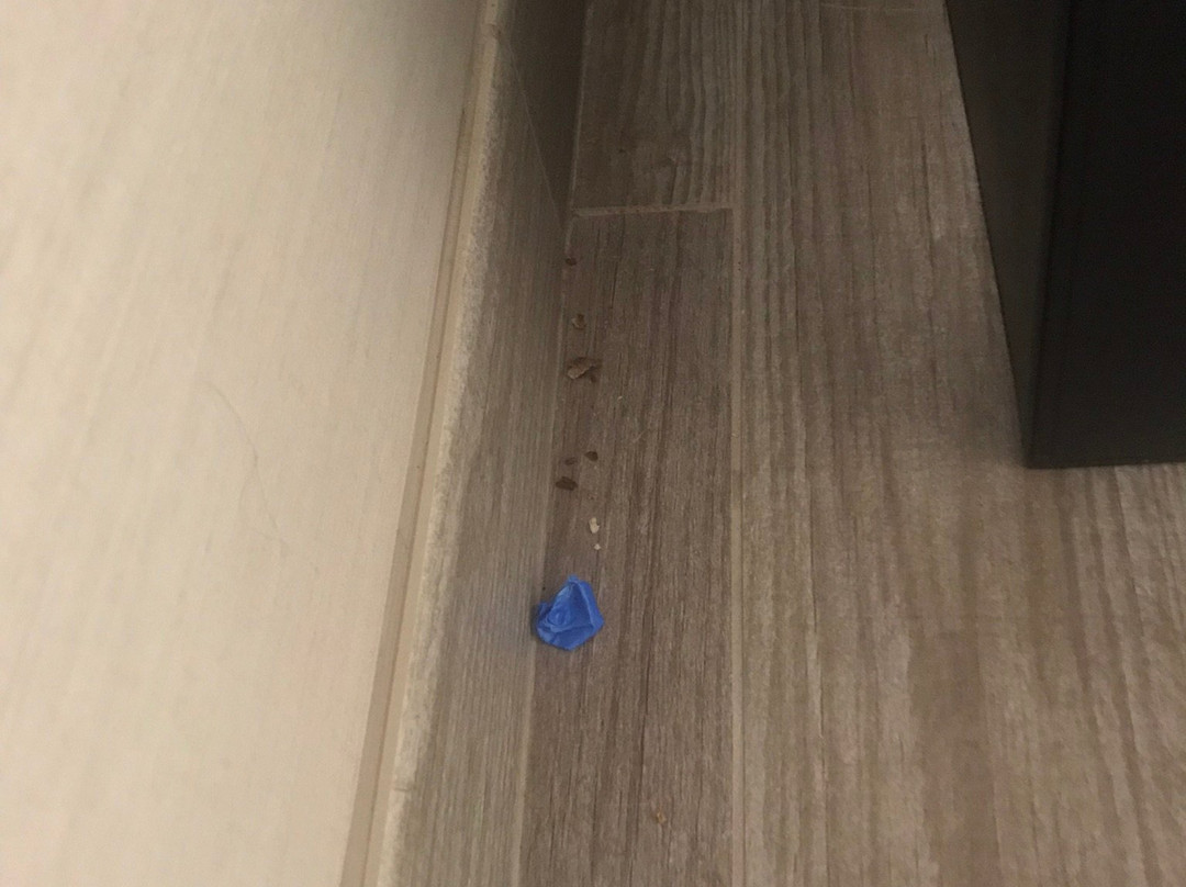 TownePlace Suites by Marriott Alexandria Fort Belvoir主图