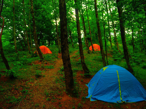 Andro Kartsidze-Pereta必去景点