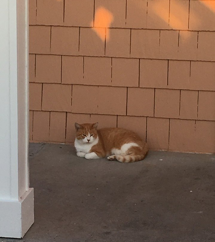 Hatteras Island Inn主图