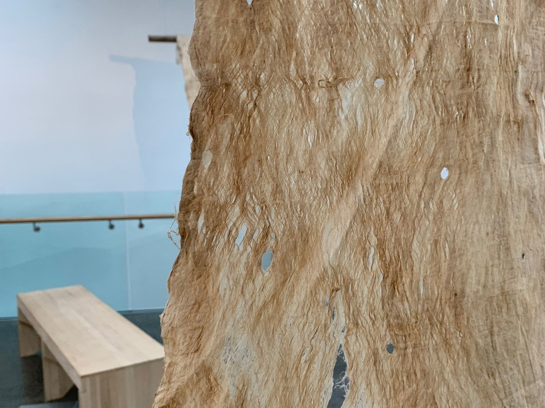 Te Uru Waitakere Contemporary Gallery景点图片