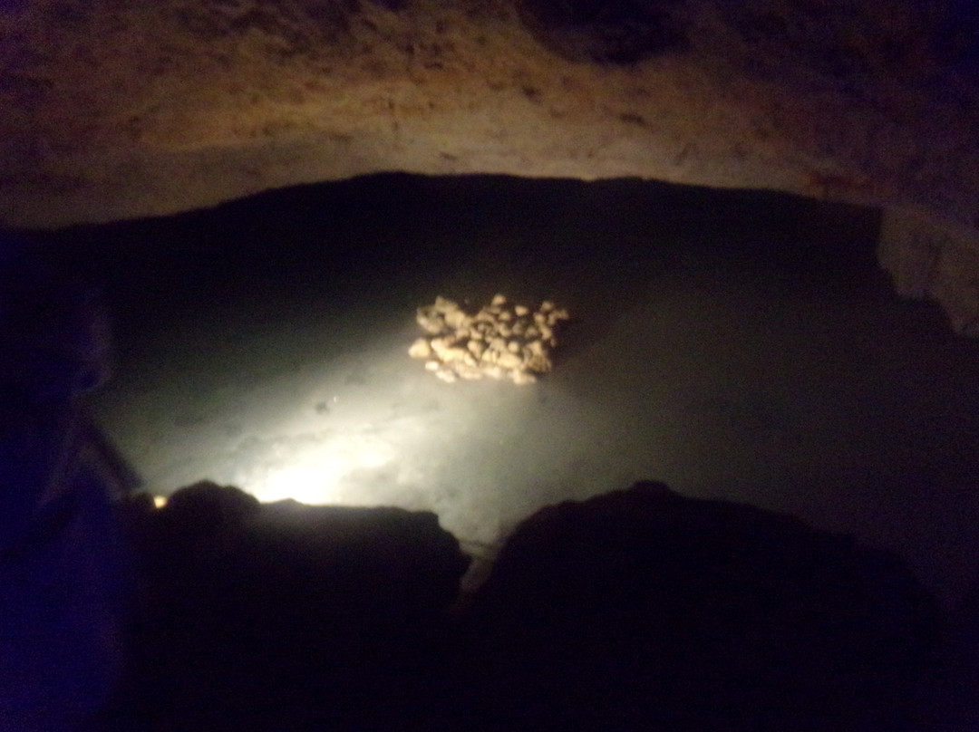 Les Grottes Petrifiantes景点图片