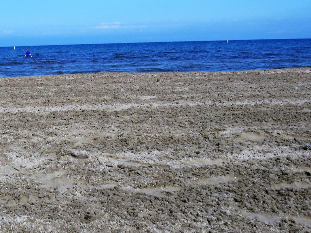 Wasaga Beach Provincial Park景点图片