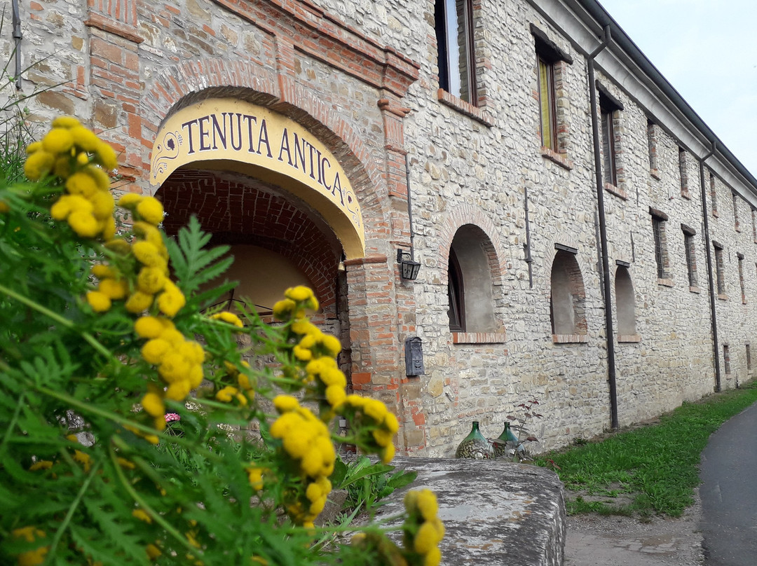 Tenuta Antica主图