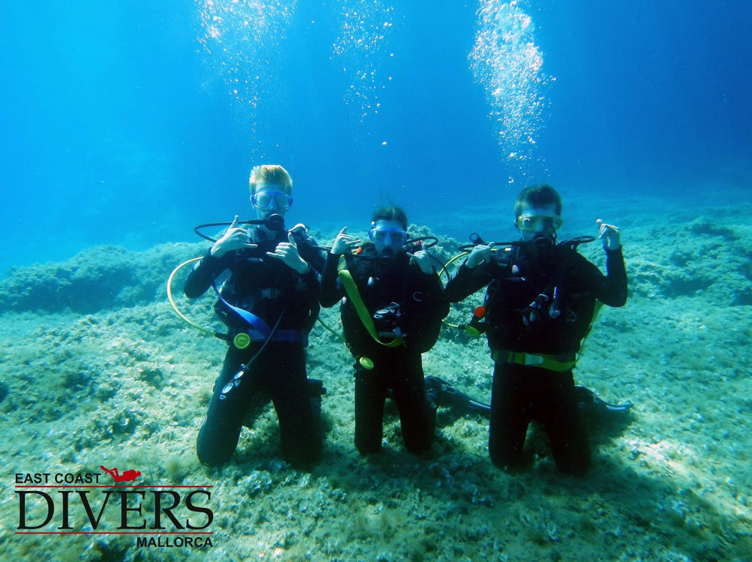 East Coast Divers Mallorca-Portocolom必去景点