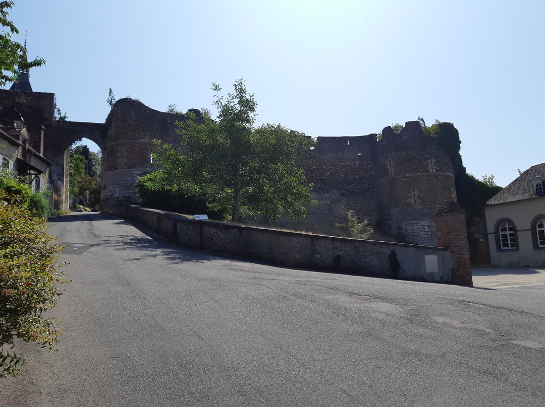 Ruines de l'ancien château景点图片