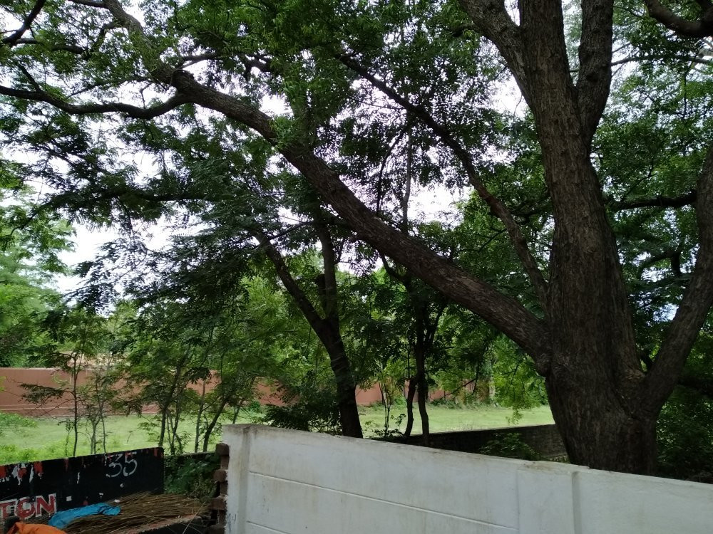 Nirudhi lingam景点图片