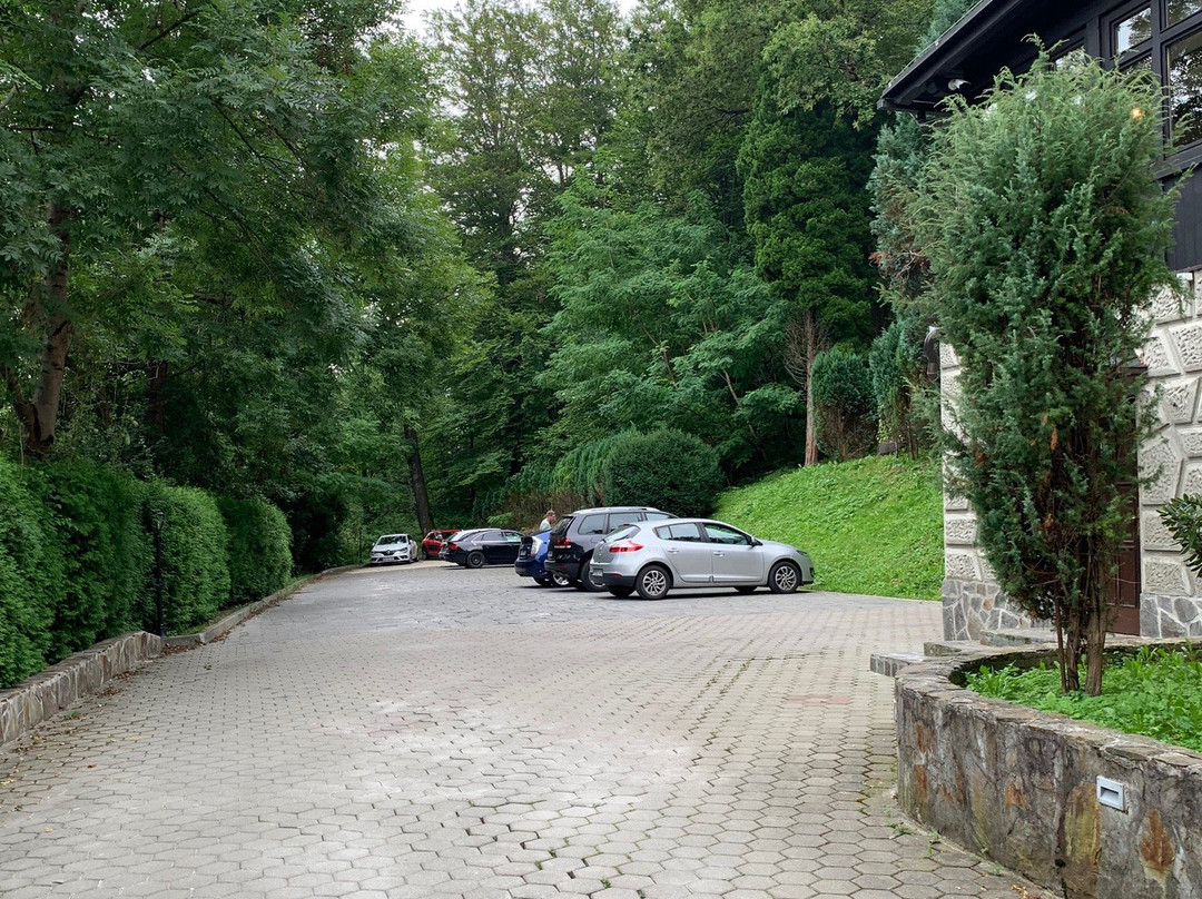 Vila Demetrovic主图