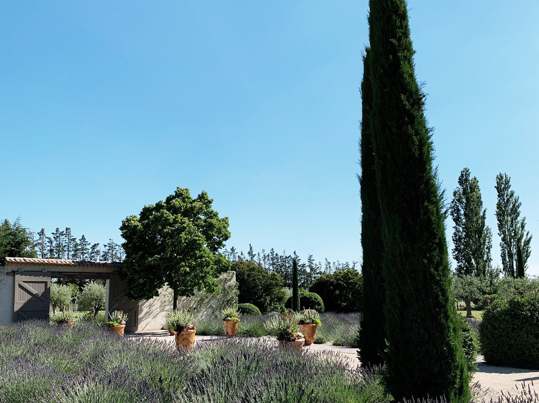 Domaine Clos Saint Estève主图