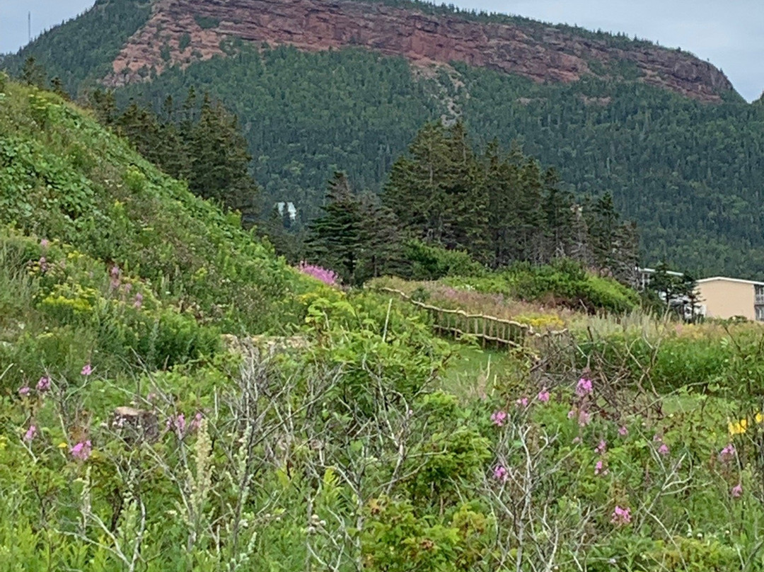 The Capitain's B&B主图